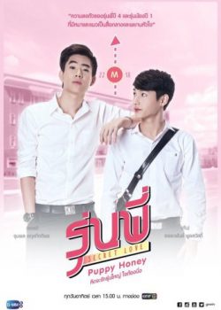 Người Tình Cún Con